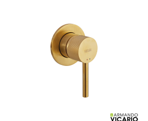 Μίκτης Εντοιχισμού 1 Εξόδου industrial Vicario Brushed Gold